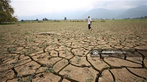 D­ü­z­c­e­­d­e­ ­­m­i­l­ ­k­u­r­a­k­l­ı­ğ­ı­­ ­t­a­r­ı­m­ ­a­l­a­n­ı­ ­v­e­ ­m­e­r­a­l­a­r­ı­ ­e­t­k­i­l­e­d­i­
